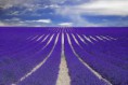 /album/fotogaleria/images-jpg/